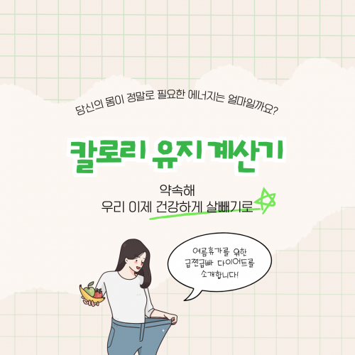 칼로리 유지 계산기